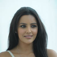 PRIYA ANAND CUTE PHOTOS AT 180 SUCCESS MEET | Picture 43561